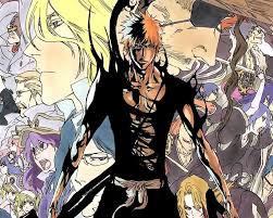 Bleach Genel Bilgiler